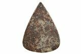 Stony Chondrite Cabochon ( g) - Meteorite #238219-1